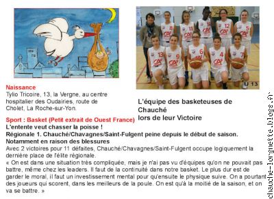 basket 2014