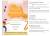 fete de la musique 2026
