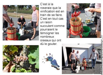 vinification du chauché