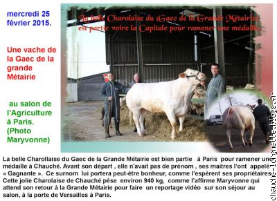 Une vache au salon