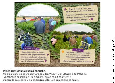 vendanges2026
