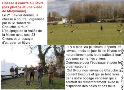 chasse à courre au lièvre
