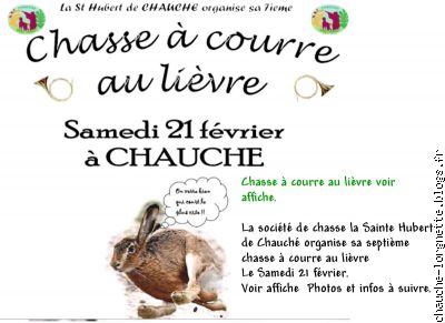 chasse lièvre