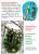 Curiosité du jardin