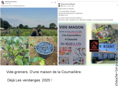 vide maison et vendanges 2025
