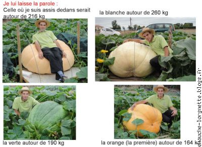 potiron 2