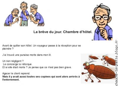 BREVE LES PUNAISES