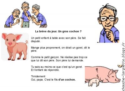 breve du jour: goret?