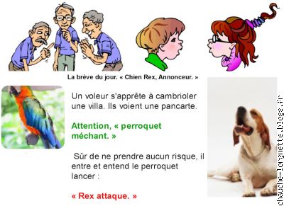 la breve de Rex
