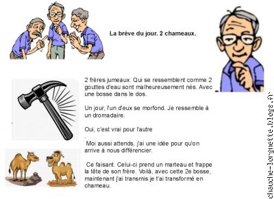 un bon coup de marteau