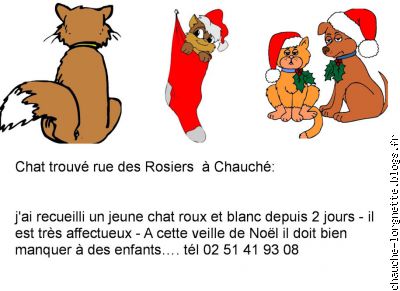 chat trouvé