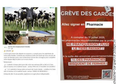 annonces aout 2025 1 semaine
