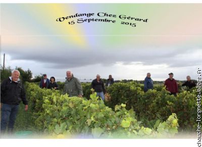 vendanges 4