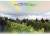 vendanges 4