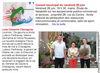 conseil municipal   Ludo