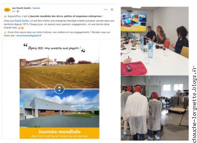 Geslin entreprise chauchéenne