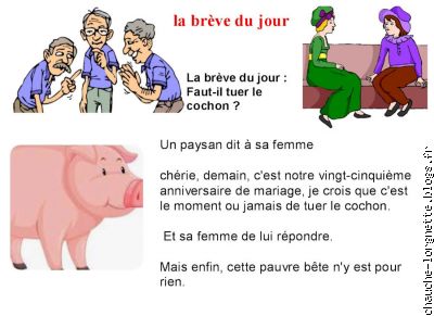 breve tuer cochon